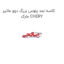 کاسه نمد پلوس بزرگ دوو ماتیز مارک CHERY