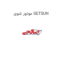 موتور شوی GETSUN