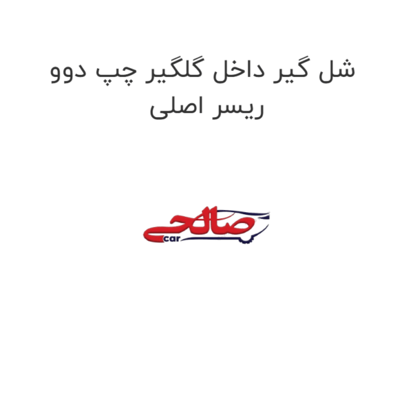 شل گیر داخل گلگیر چپ دوو ریسر اصلی