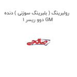 رولبرینگ ( بلبرینگ سوزنی ) دنده 1 دوو ریسر GM