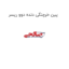 پین خرچنگی دنده دوو ریسر