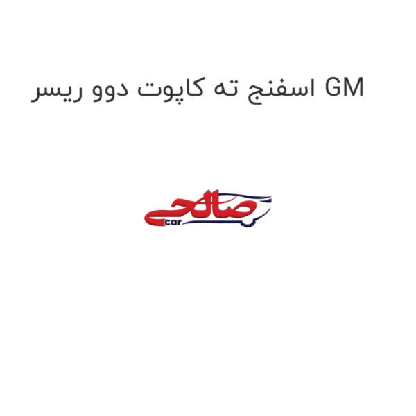 اسفنج ته کاپوت دوو ریسر GM