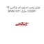 اویل پمپ ام وی ام ایکس 22 MVM X22 مارک CHERY