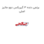 برنجی دنده 3 گیربکس دوو ماتیز اصلی