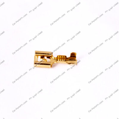فیش کتابی