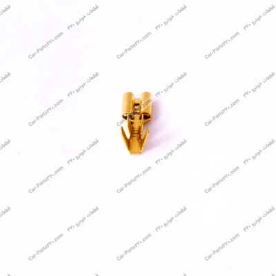 فیش کتابی