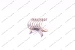 یاتاقان ثابت سایز 50 دوو ماتیز DS KMF
