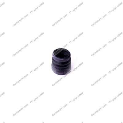 گردگیر سیلندر ترمز تقویتی دوو ریسر