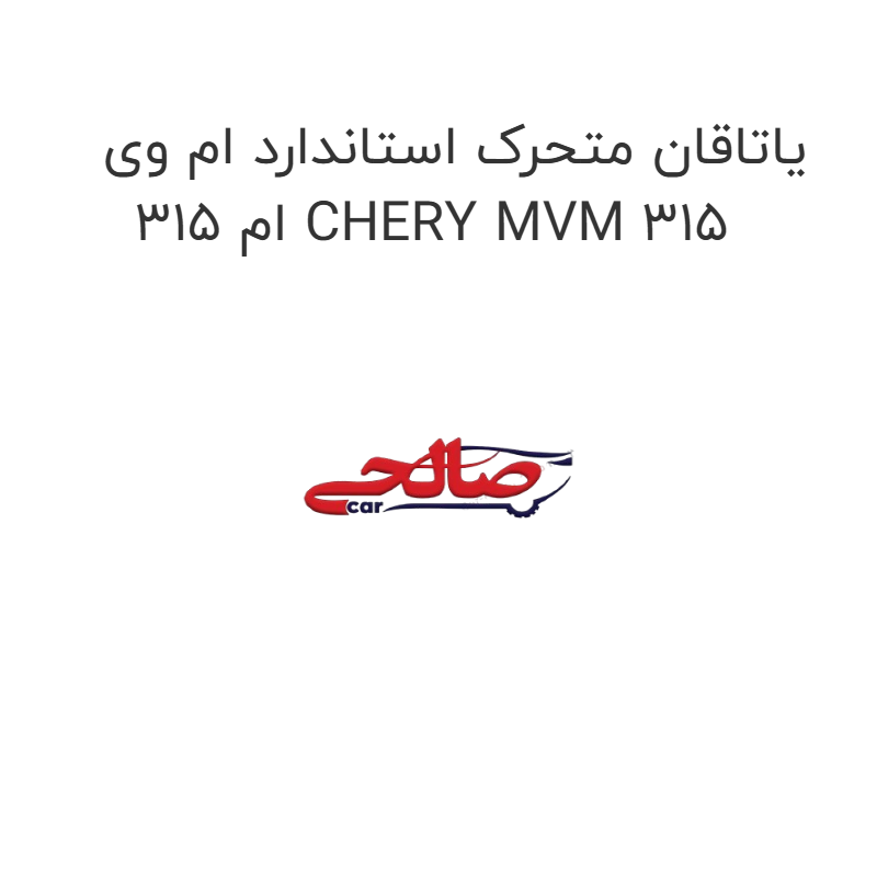 product-image-14793-1752923364 یاتاقان متحرک استاندارد ام وی ام 315 CHERY MVM 315