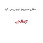 مغزی سوییچ دوو ریسر  کره