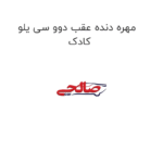 مهره دنده عقب دوو سی یلو کادک