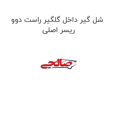 شل گیر داخل گلگیر راست دوو ریسر اصلی