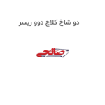 دو شاخ کلاچ دوو ریسر
