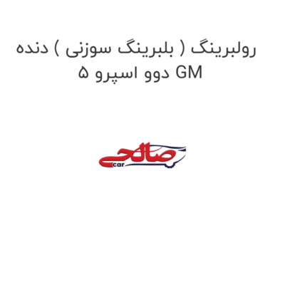 رولبرینگ ( بلبرینگ سوزنی ) دنده 5 دوو اسپرو GM