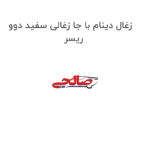 زغال دینام با جا زغالی سفید دوو ریسر