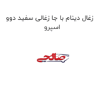 زغال دینام با جا زغالی سفید دوو اسپرو