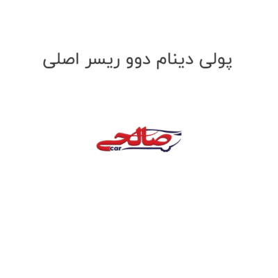پولی دینام دوو ریسر اصلی
