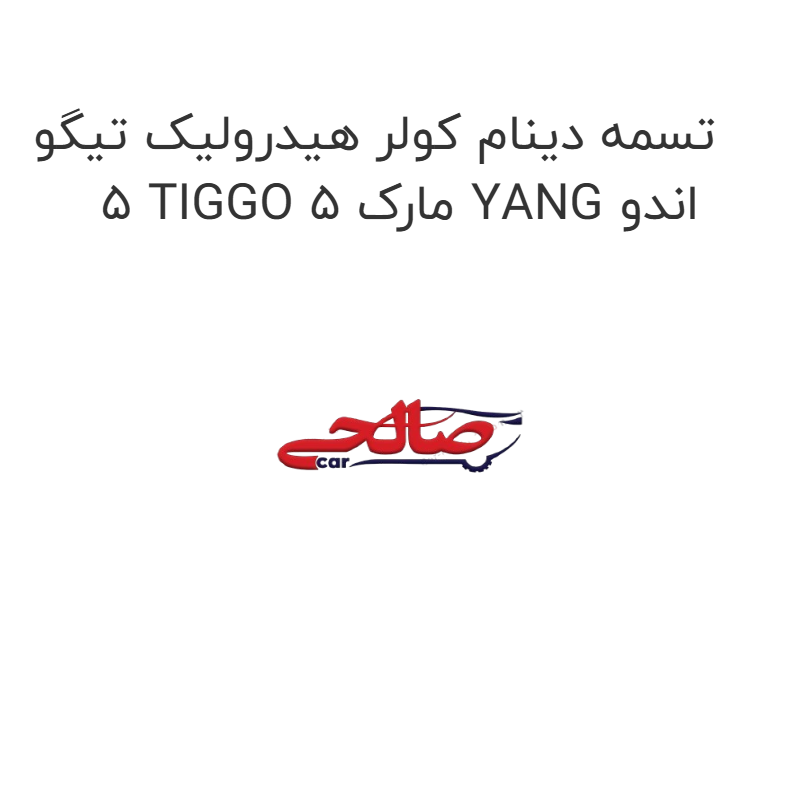 product-image-21888-1752685584 تسمه دینام کولر هیدرولیک تیگو 5 TIGGO 5 مارک YANG اندو