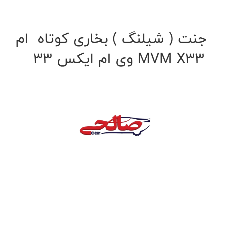 product-image-22116-1752684480 جنت ( شیلنگ ) بخاری کوتاه ام وی ام ایکس 33 MVM X33